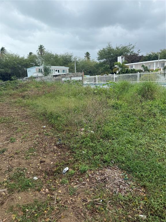 An overgrown vacant lot with a white fence and houses in the background — CALLE SANTILLANA, LOIZA, PR