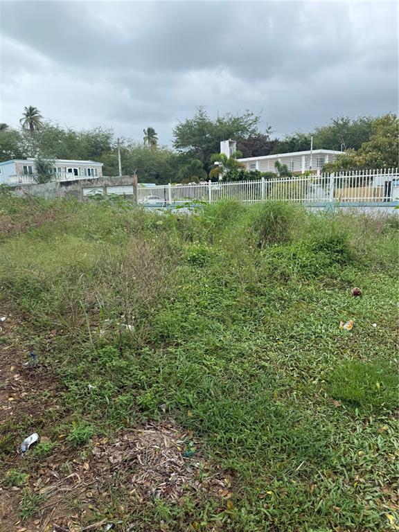 An overgrown vacant lot with a white fence and houses in the background — CALLE SANTILLANA, LOIZA, PR