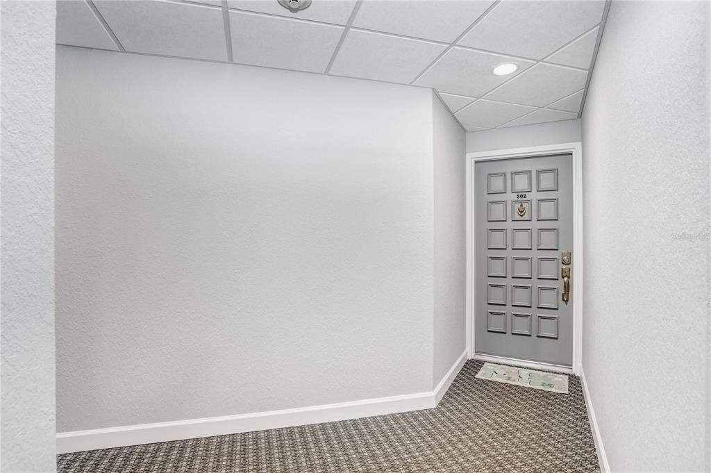 A gray door with a grid pattern sits at the end of a carpeted hallway — 6104 PALMA DEL MAR BOULEVARD S UNIT 302, ST PETERSBURG, FL