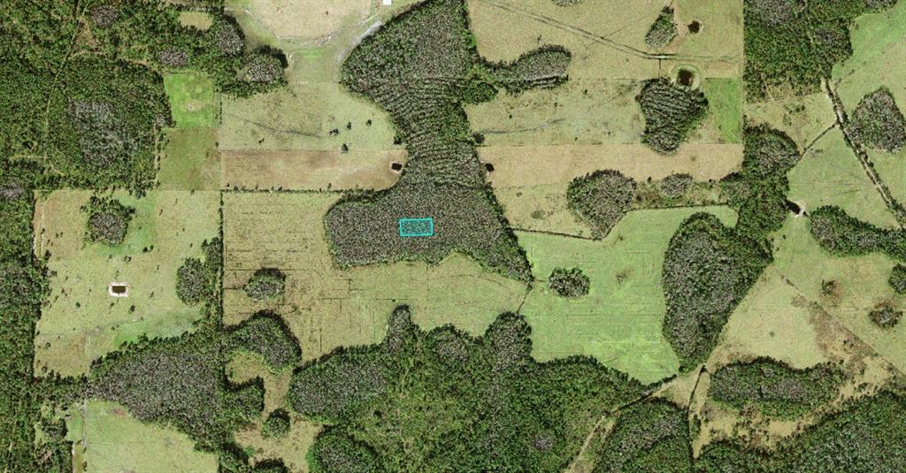 An aerial view shows a rectangular plot of land highlighted within a rural, wooded area — NO STREET, POLK CITY, FL