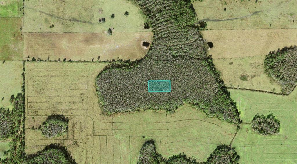 An aerial view shows a rectangular property boundary highlighted in blue within a wooded area — NO STREET, POLK CITY, FL