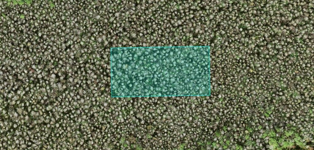 An aerial view shows a rectangular plot of land highlighted in blue amidst dense forest — NO STREET, POLK CITY, FL