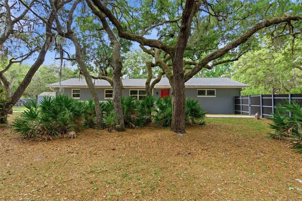 A gray, single-story house is partially obscured by large oak trees and palmetto bushes — 176 LAKE EVA DRIVE, OVIEDO, FL