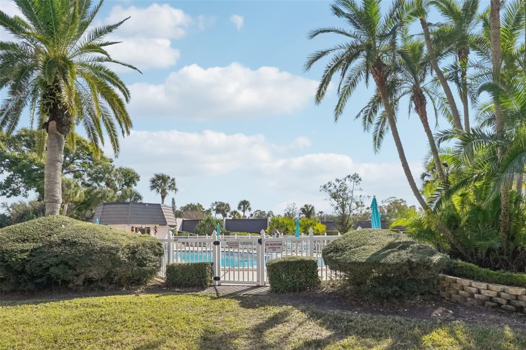 A white gate leads to a swimming pool area surrounded by palm trees and landscaping — 404 CORDOVA GREEN UNIT 404, SEMINOLE, FL