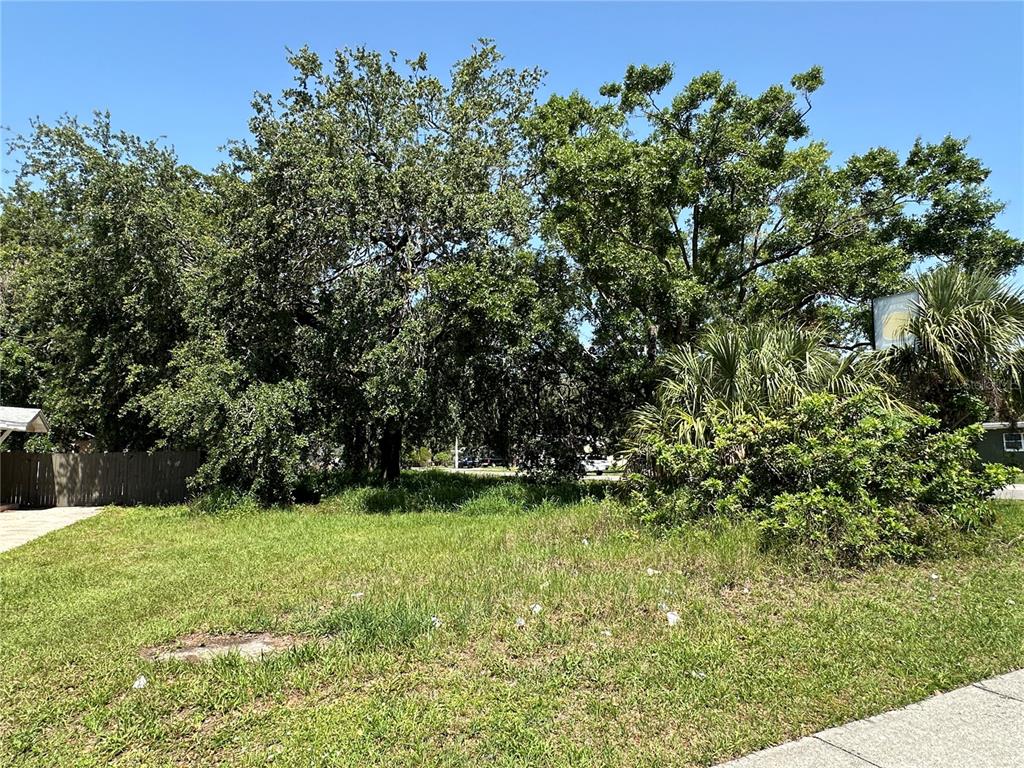 A grassy vacant lot features several large trees and a palm bush under a blue sky — 802 S IVEY LANE, ORLANDO, FL