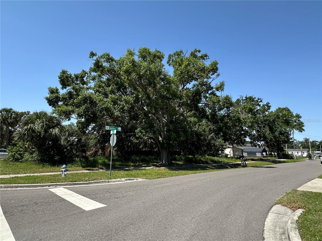 A street corner features a large tree, a fire hydrant, and a street sign — 802 S IVEY LANE, ORLANDO, FL