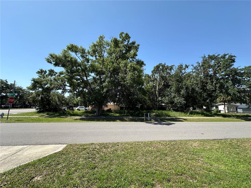 A vacant, grassy lot with large trees sits behind a paved street and sidewalk — 802 S IVEY LANE, ORLANDO, FL