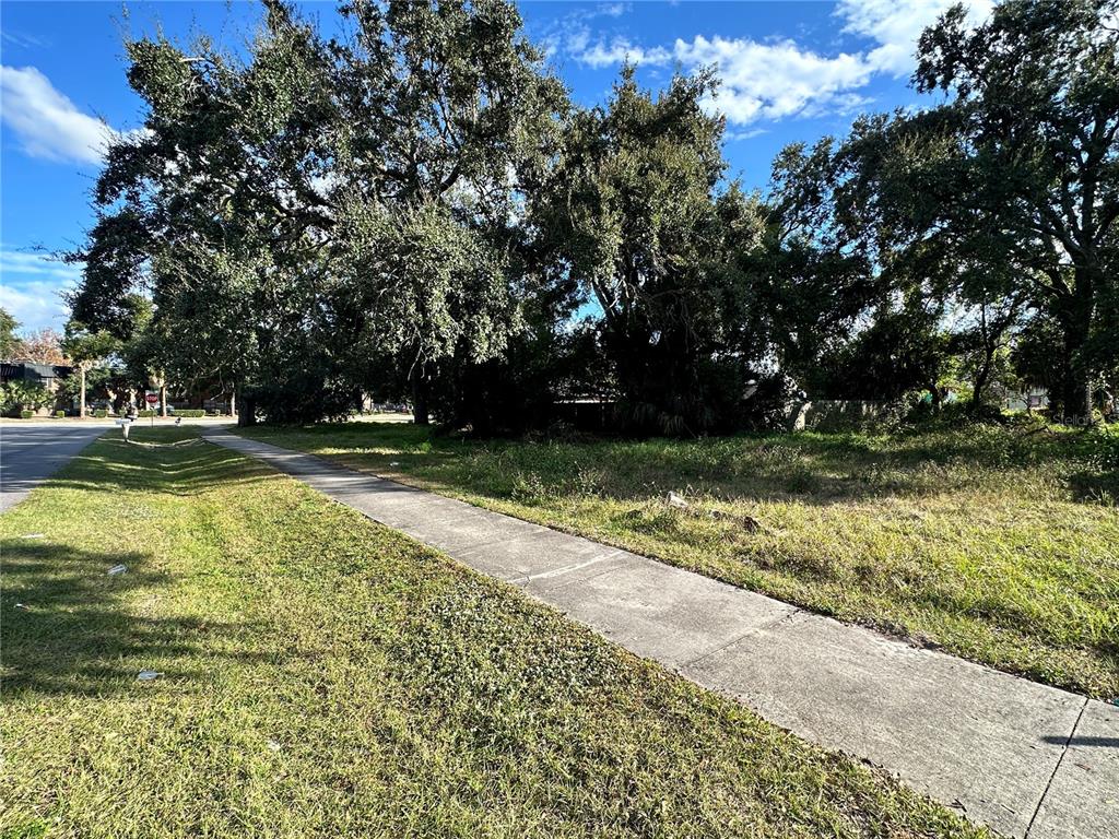 A sidewalk runs alongside a grassy, tree-covered vacant lot under a blue sky — 802 S IVEY LANE, ORLANDO, FL