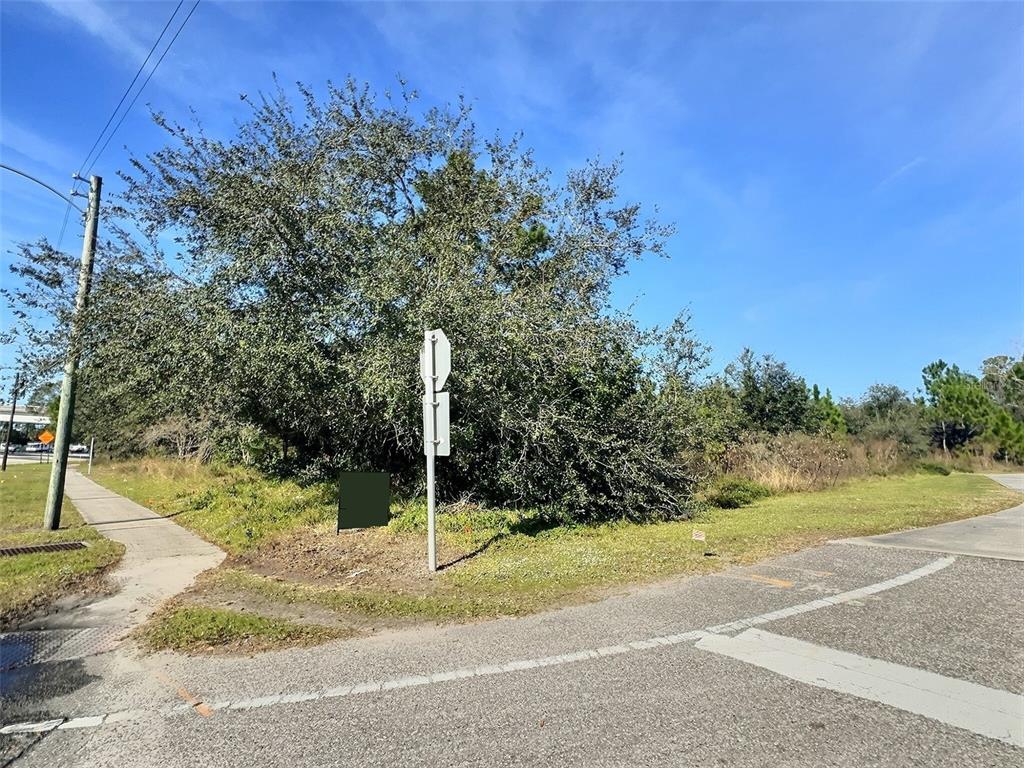 0 N STATE STREET, BUNNELL, FL — photo 3 of 13