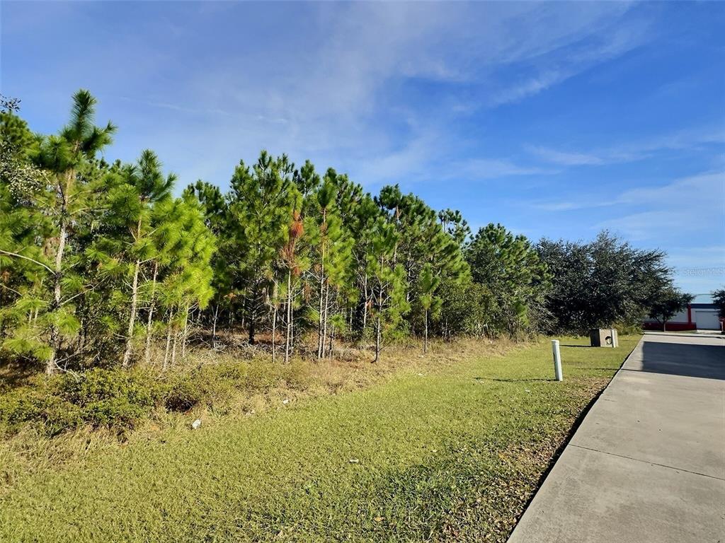 0 N STATE STREET, BUNNELL, FL — photo 4 of 13
