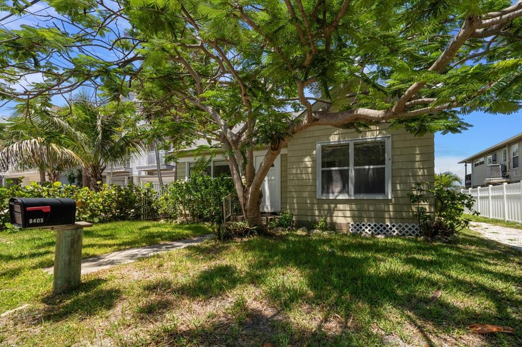 A single-story house with light green siding is shaded by a large tree — 8405 BAYSHORE DRIVE, TREASURE ISLAND, FL