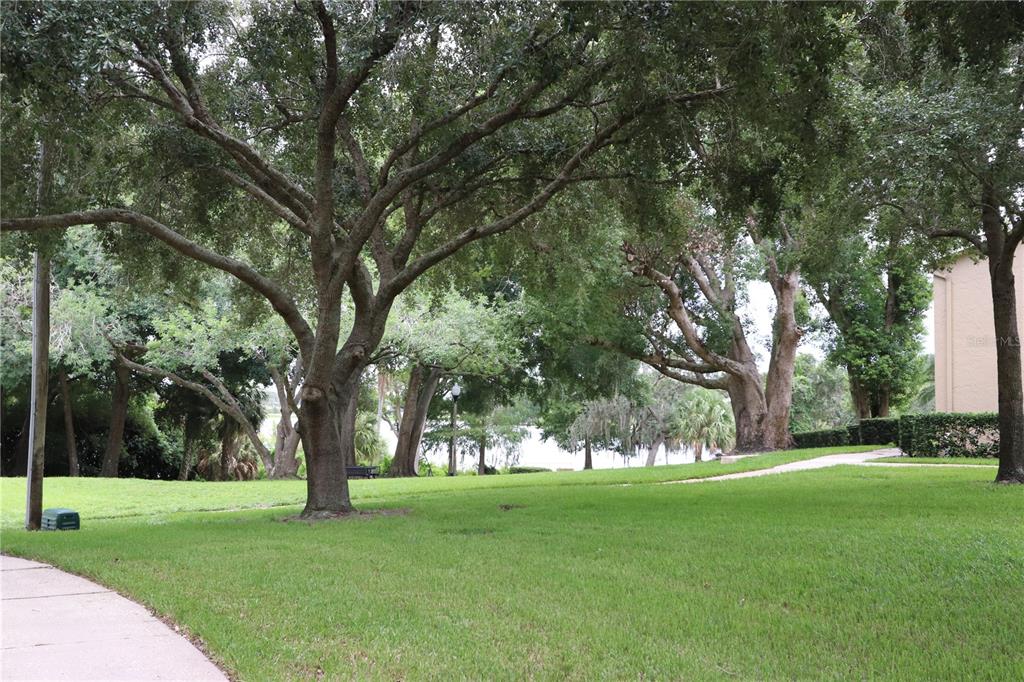 A grassy lawn with large oak trees leads toward a body of water — 812 PARK LAKE CIRCLE UNIT 7, MAITLAND, FL