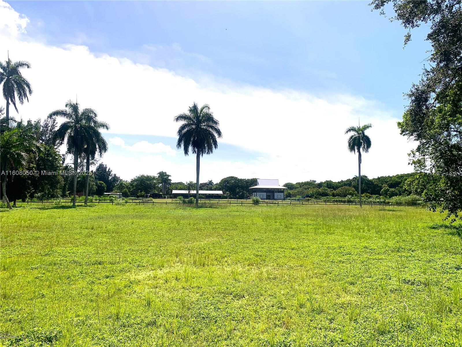 A large grassy field features several tall palm trees and a distant building — 22750 SW 154th ave, Miami FL 33170, MIAMI, FL
