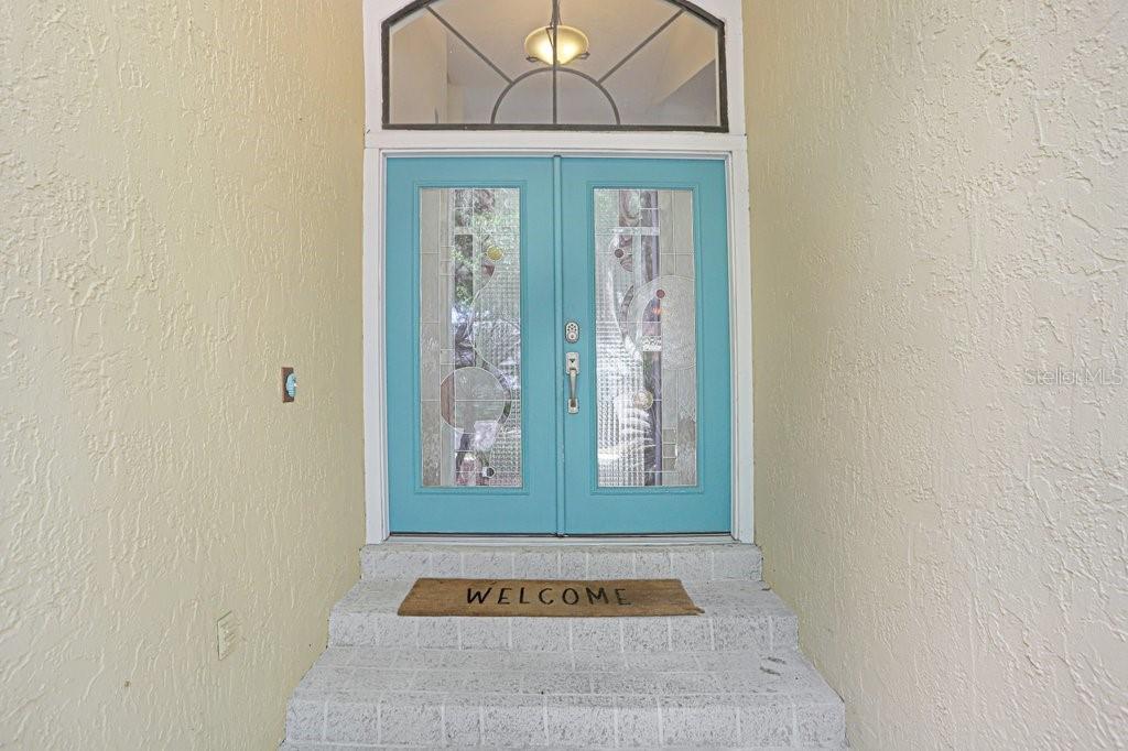 A bright blue double front door with glass inserts sits above concrete steps — 6214 FARTHING STREET, TAMPA, FL
