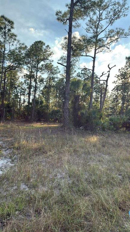 A grassy, undeveloped lot features scattered pine trees and low-lying vegetation under a cloudy sky — 918 BELMONT STREET E, LEHIGH ACRES, FL