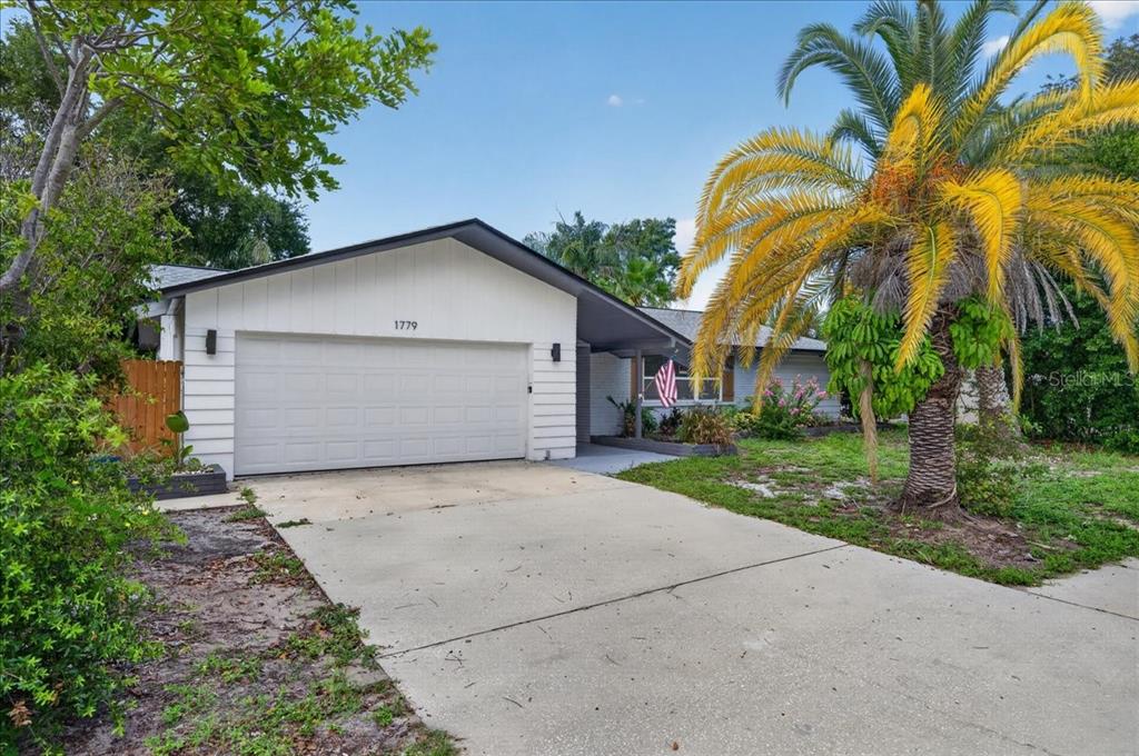 A single-story house with a white garage, a concrete driveway, and a large palm tree — 1779 UNION STREET, CLEARWATER, FL