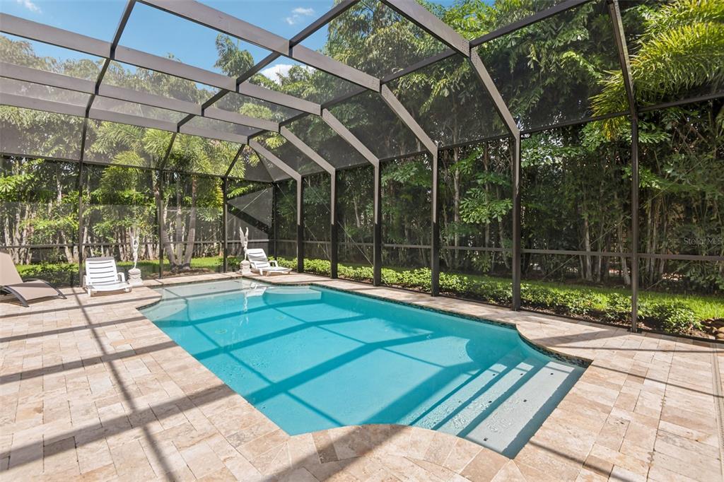 A screened-in swimming pool with a stone paver deck and surrounding tropical landscaping — 4586 GRAND LAKESIDE DRIVE, PALM HARBOR, FL