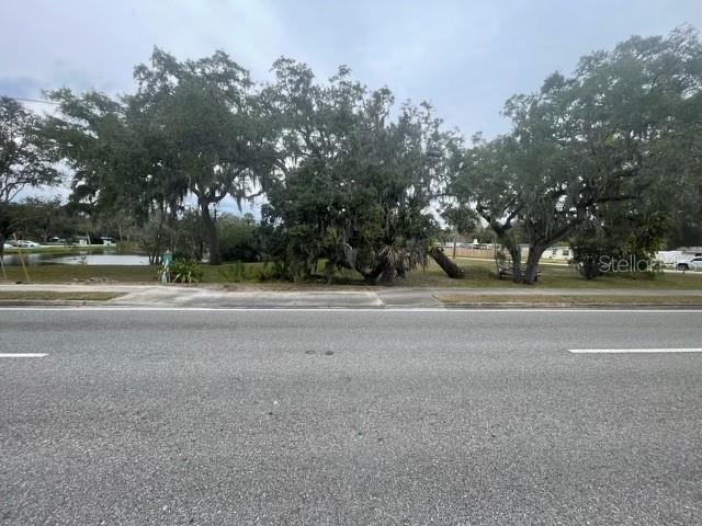 A vacant, tree-covered lot sits adjacent to a paved road and a small pond — 104 ELLISON AVENUE, NEW SMYRNA BEACH, FL