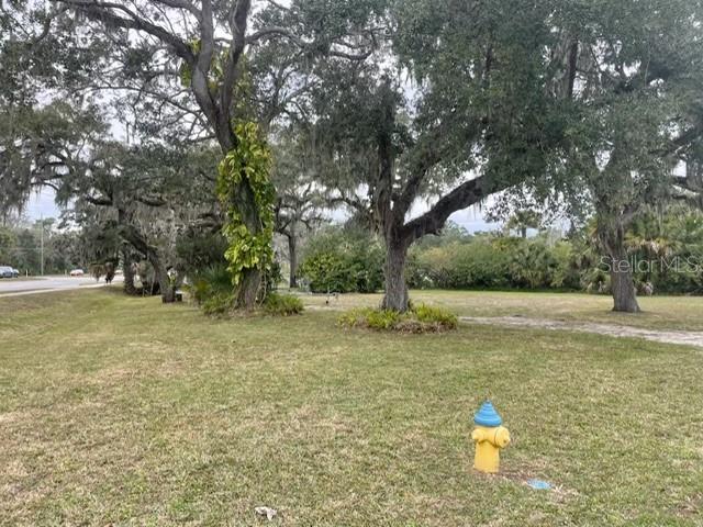 A yellow fire hydrant sits on a grassy lot with several large, mossy oak trees — 104 ELLISON AVENUE, NEW SMYRNA BEACH, FL
