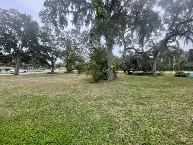 A grassy, open lot features several large, mature oak trees with hanging Spanish moss — 104 ELLISON AVENUE, NEW SMYRNA BEACH, FL