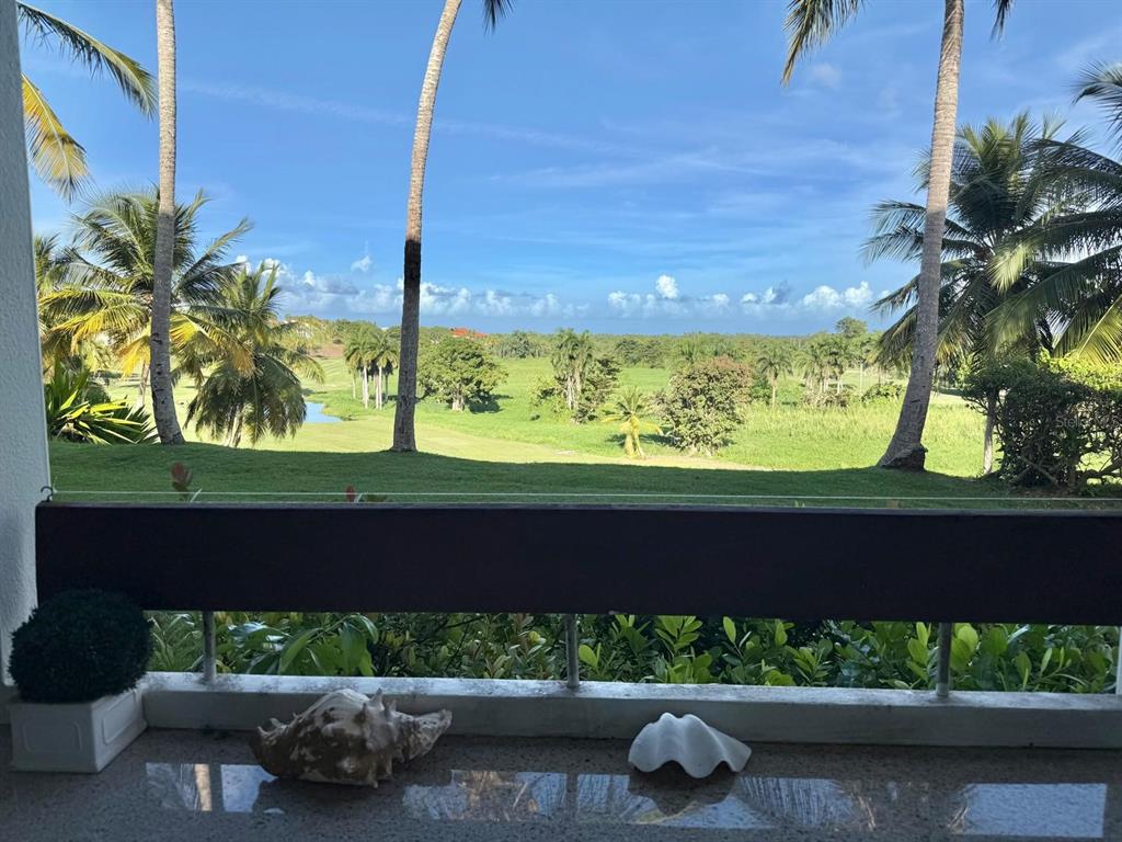 A balcony with two seashells overlooks a grassy landscape with palm trees and a pond — 3801 RIO MAR VILLAGE, RIO GRANDE, PR