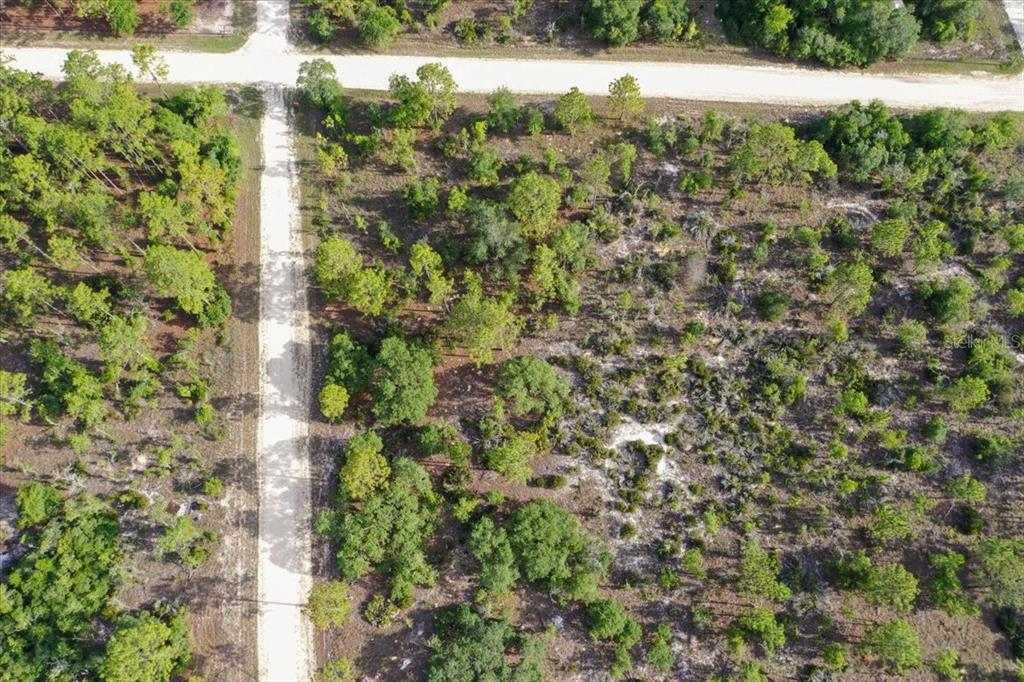 An aerial view shows a dirt road intersection surrounded by wooded, undeveloped land — 0000 NE 132 TERRACE LOT 5 TERRACE, WILLISTON, FL