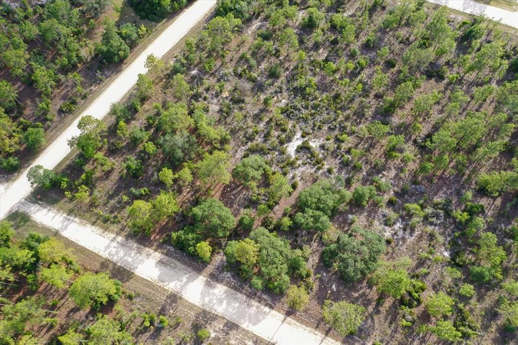 An aerial view shows a wooded, undeveloped lot bordered by two dirt roads — 0000 NE 132 TERRACE LOT 5 TERRACE, WILLISTON, FL