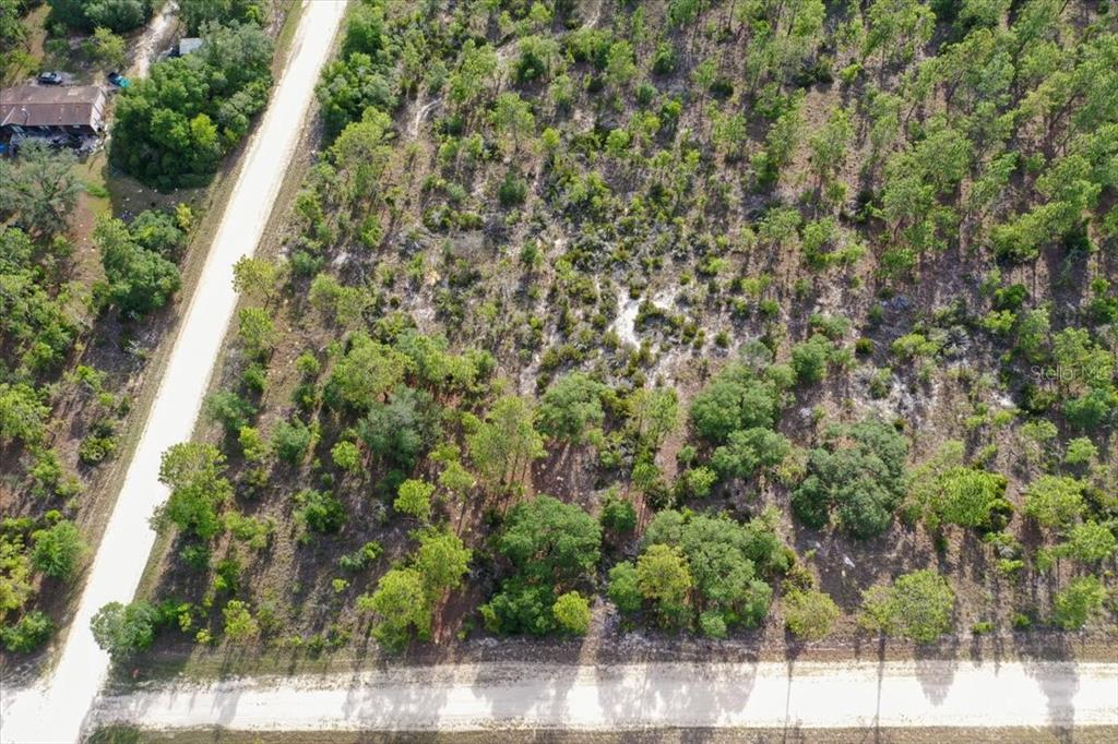 An aerial view shows a wooded, undeveloped lot bordered by two dirt roads — 0000 NE 132 TERRACE LOT 5 TERRACE, WILLISTON, FL