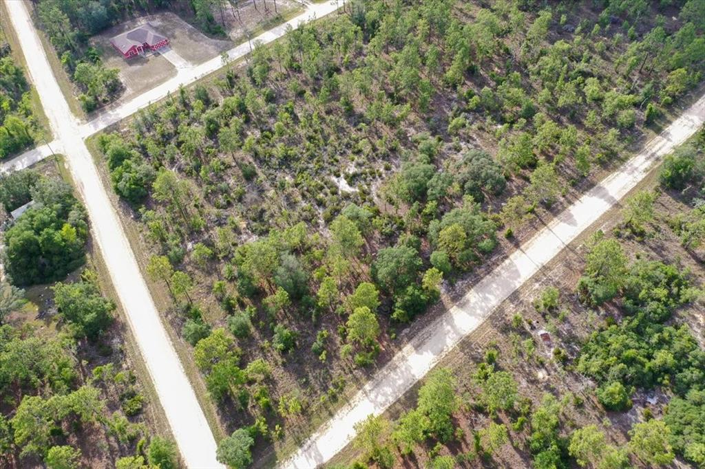 An aerial view shows a wooded, undeveloped rectangular lot bordered by two dirt roads — 0000 NE 132 TERRACE LOT 5 TERRACE, WILLISTON, FL