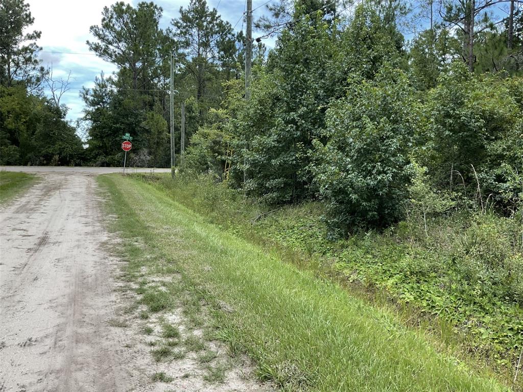 A dirt road leads to a stop sign at a wooded intersection — 10210 VAUGHAN AVENUE, HASTINGS, FL