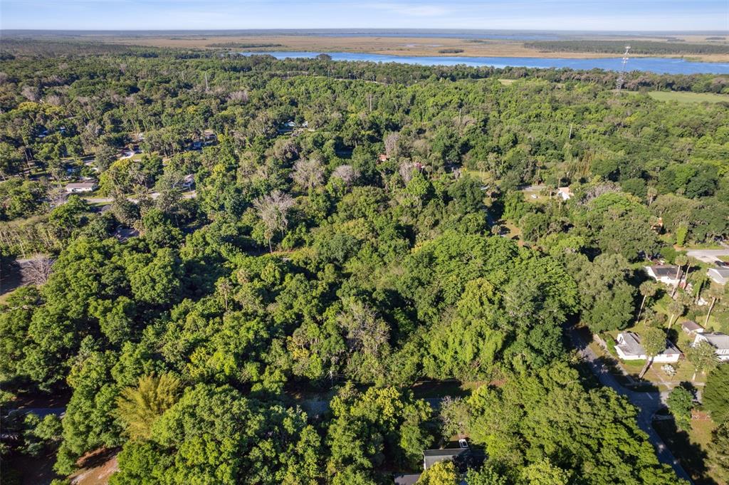 An aerial view shows a dense forest area with scattered houses and a distant lake — Lot 16 QUEBEC AVENUE, DE LEON SPRINGS, FL