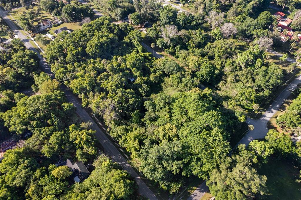 An aerial view shows a densely wooded residential lot surrounded by paved roads and houses — Lot 16 QUEBEC AVENUE, DE LEON SPRINGS, FL