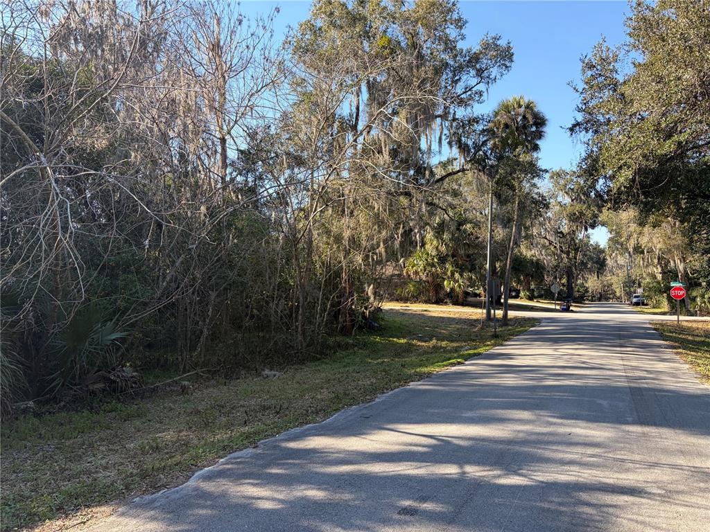 A paved road runs alongside a wooded lot with tall trees draped in Spanish moss — Lot 16 QUEBEC AVENUE, DE LEON SPRINGS, FL