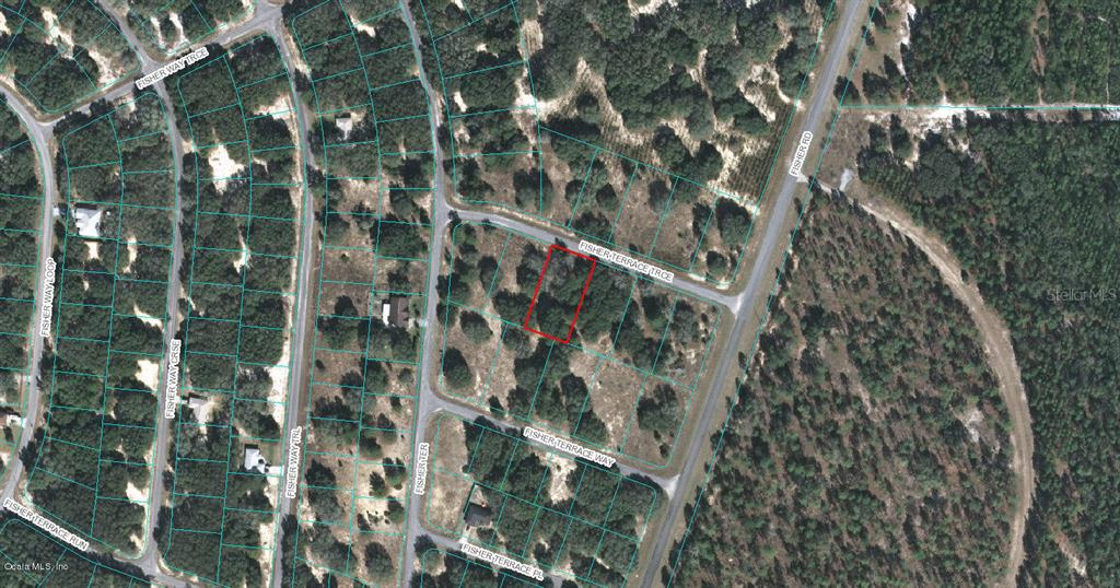 00 FISHER TERRACE TRACE