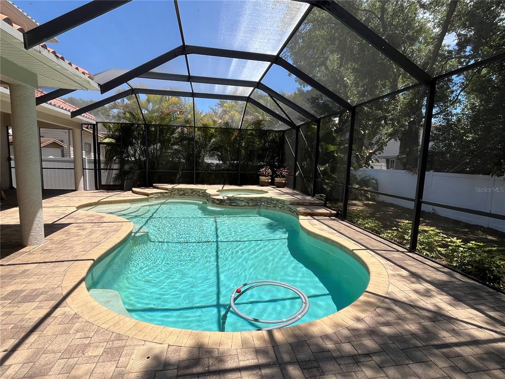 A screened-in swimming pool and spa with a paver deck and surrounding landscaping — 3820 W SAN LUIS STREET, TAMPA, FL