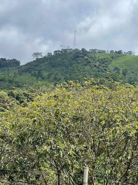 A communication tower stands atop a lush, green, tree-covered hill under a cloudy sky — Colombia El Hatillo, Mariquita, Tol, Co, FL