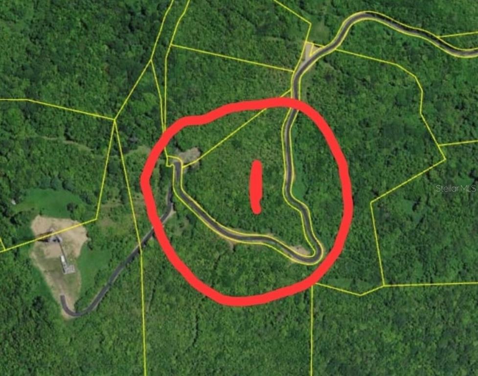 An aerial map view shows a wooded plot of land outlined in yellow — 985 KM 1.6 INTERIOR QUEBRADA FAJARDO, FAJARDO, PR