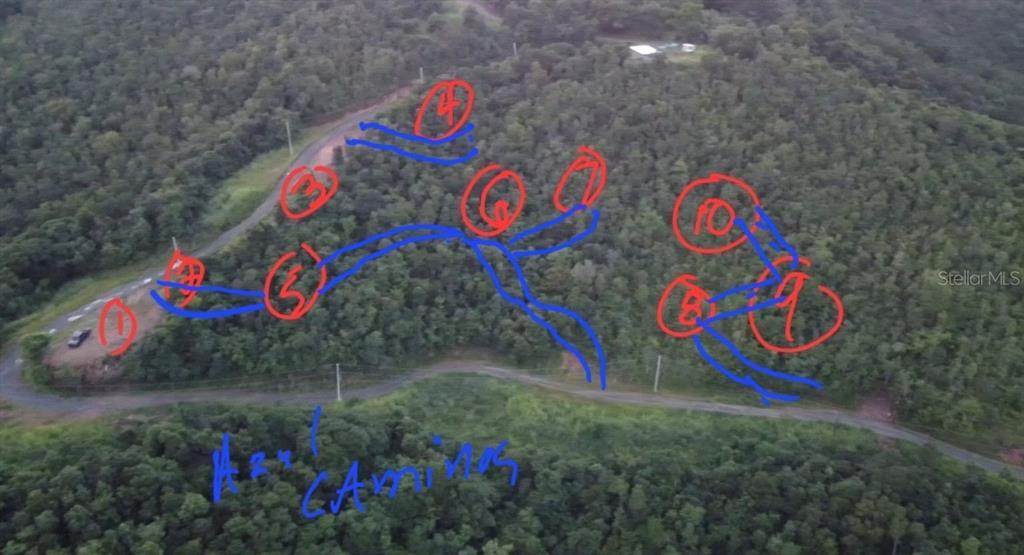 An aerial view of a wooded hillside lot with numbered markers and blue path lines — 985 KM 1.6 INTERIOR QUEBRADA FAJARDO, FAJARDO, PR