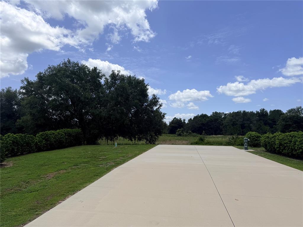 A concrete driveway leads toward a grassy area bordered by trees and shrubs — 4879 SE 92ND BOULEVARD, WEBSTER, FL