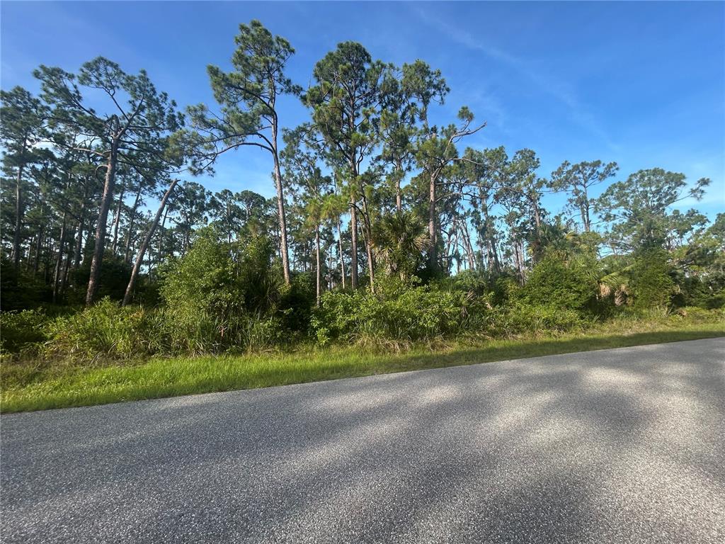 A paved road runs alongside a wooded lot with tall pine trees and dense vegetation — 18157 WAKASHAN AVENUE, PORT CHARLOTTE, FL