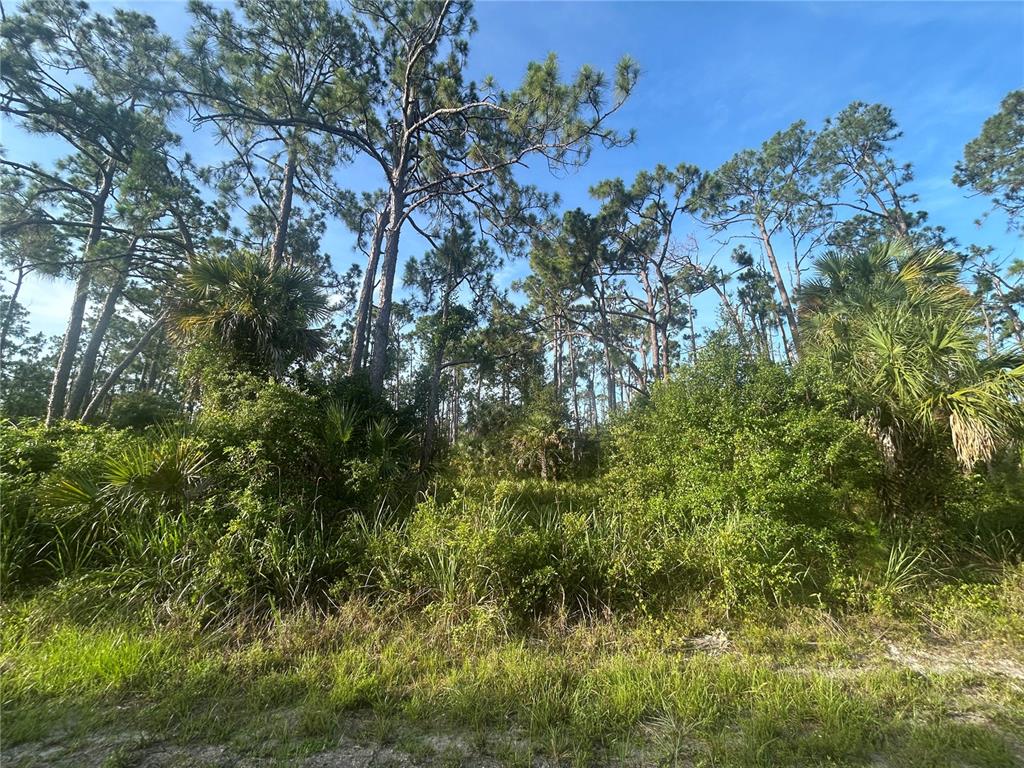 A wooded lot features tall pine trees, dense green shrubs, and native palmetto plants — 18157 WAKASHAN AVENUE, PORT CHARLOTTE, FL