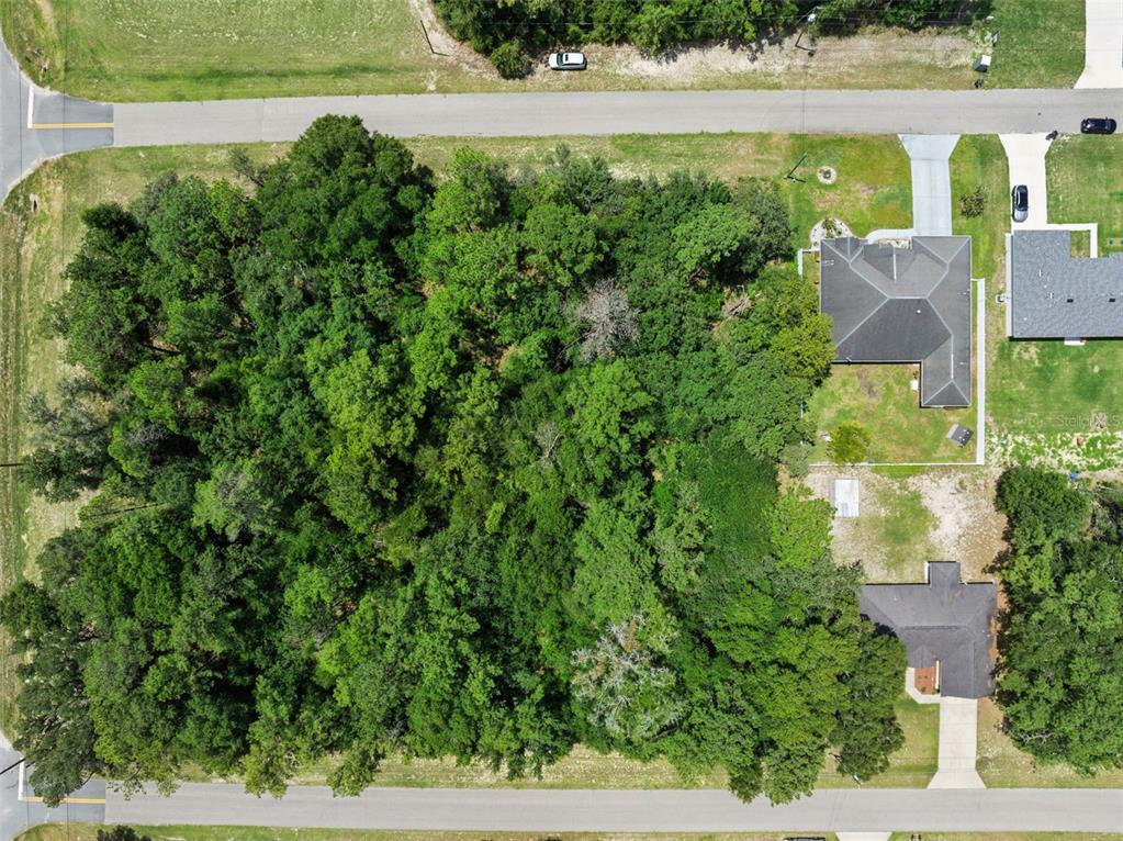 An aerial view shows a heavily wooded rectangular lot situated between two paved roads — 0 SW 128TH PLACE, OCALA, FL