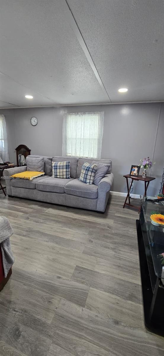 A living room features a gray sofa, wood-look flooring, and a window with white curtains — 100 SE 6th Ave, Homestead FL 33030, HOMESTEAD, FL