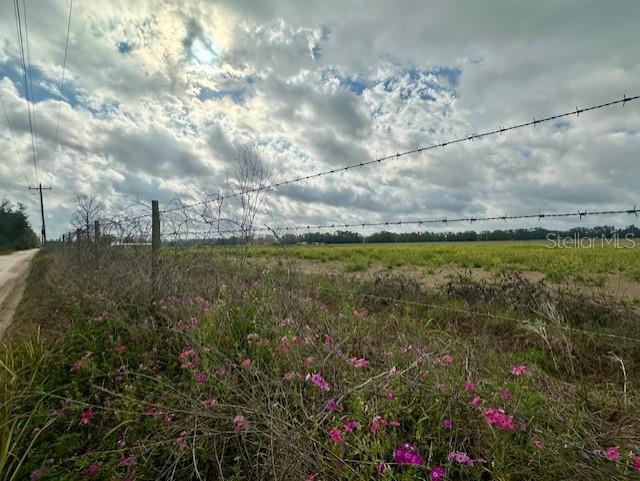 A barbed wire fence runs along a field of green grass under a cloudy sky — SW 80TH STREET, TRENTON, FL