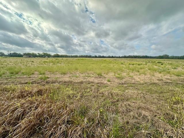A wide, grassy field stretches toward a distant tree line under a cloudy sky — SW 80TH STREET, TRENTON, FL