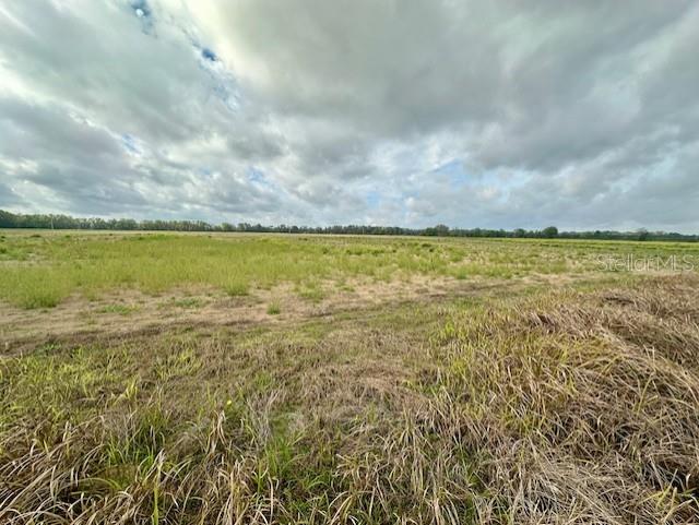 A wide, grassy field stretches toward a distant tree line under a cloudy sky — SW 80TH STREET, TRENTON, FL