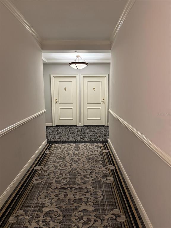 A hallway with patterned carpet leads to two white doors under a ceiling light fixture — 345 BAYSHORE BOULEVARD UNIT 1102, TAMPA, FL