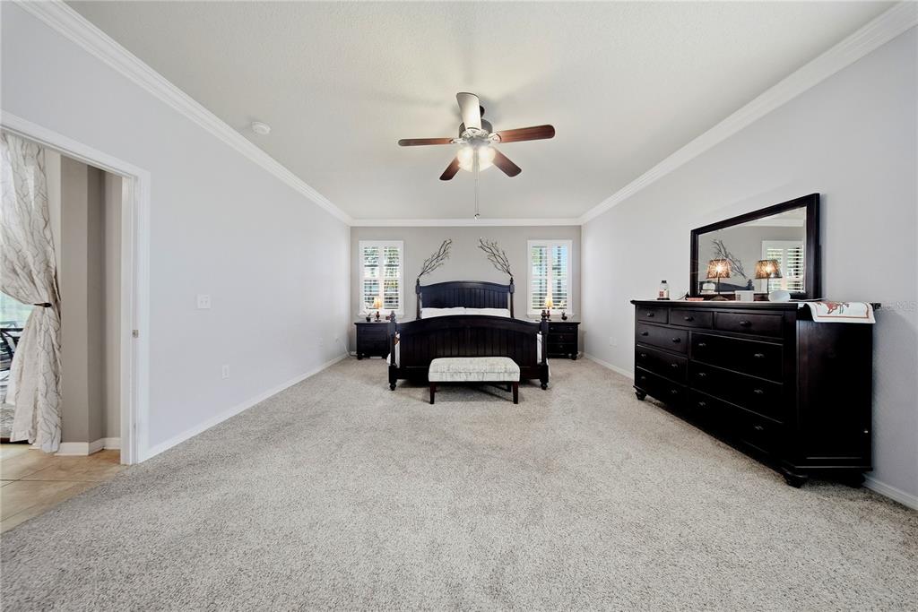 A bedroom features a dark wood bed frame, matching dresser with mirror, and neutral carpeting — 354 HOPE BAY LOOP, APOLLO BEACH, FL