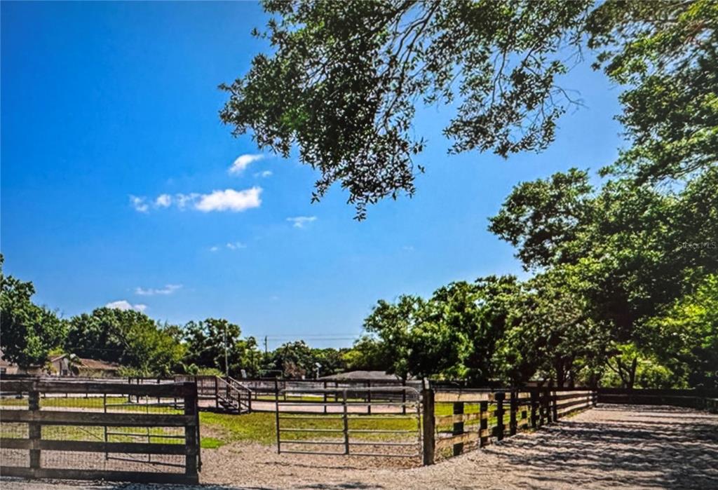 A fenced outdoor horse riding arena is surrounded by trees under a bright blue sky — 10520 HENDERSON ROAD, TAMPA, FL