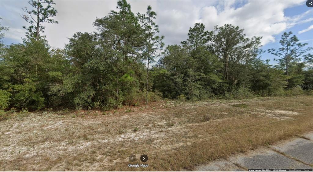 A vacant, wooded lot with sandy ground sits adjacent to a paved road — Lot 18 Unit 1 Blk 6 FUSION CIRCLE, CHIPLEY, FL